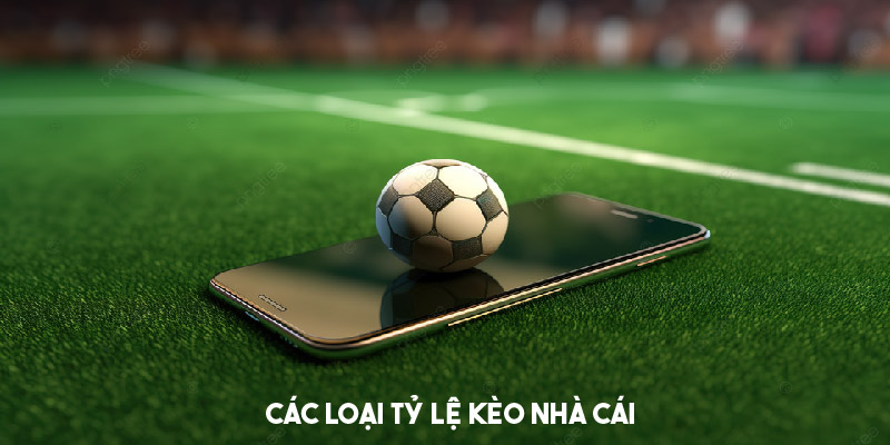 Các loại kèo nhà cái phổ biến tại tylekeo 