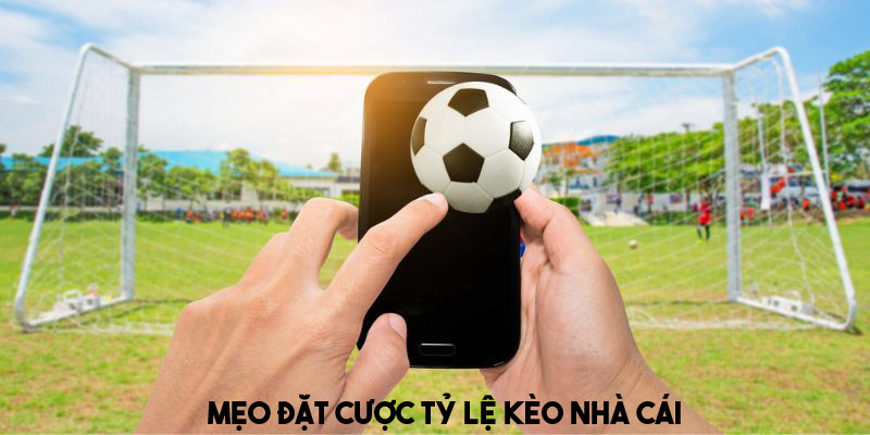 Chia sẻ mẹo đặt cược kèo nhà cái hiệu quả 